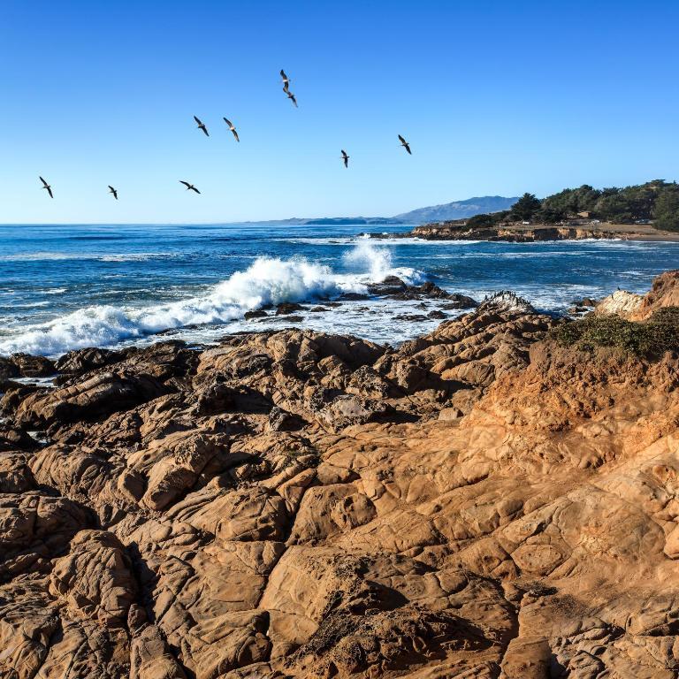 Sand Pebbles Inn Cambria Exterior foto